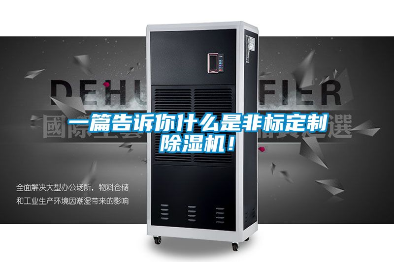 一篇告訴你什么是非標定制除濕機！