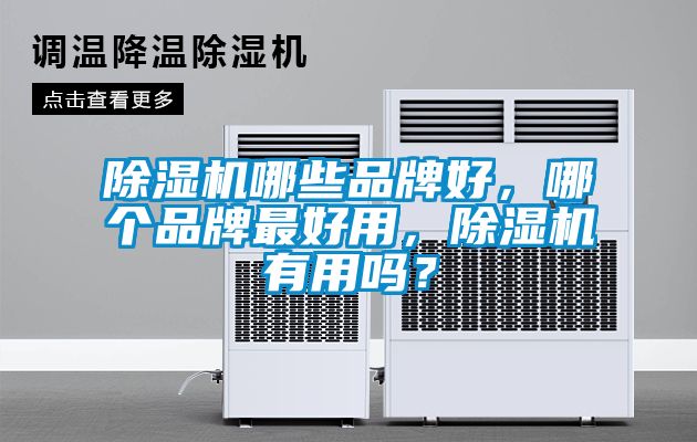 除濕機(jī)哪些品牌好，哪個(gè)品牌最好用，除濕機(jī)有用嗎？
