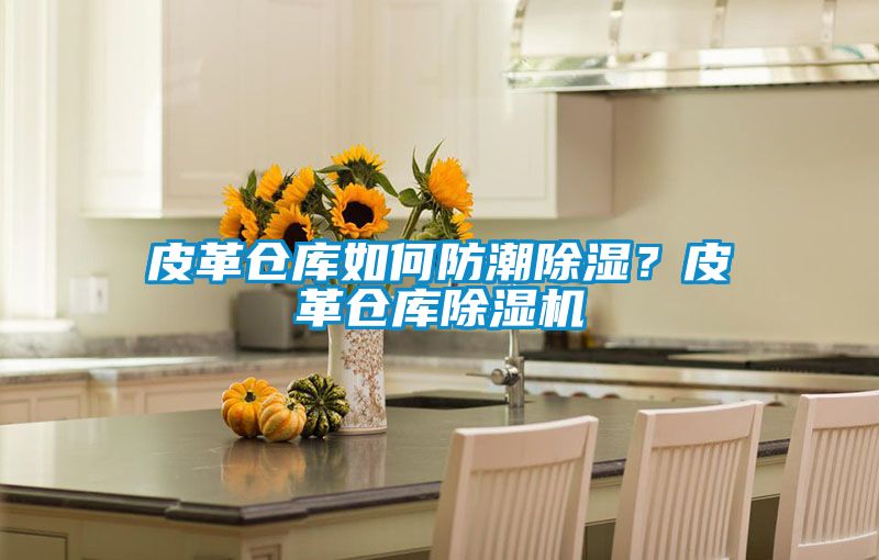 皮革倉(cāng)庫(kù)如何防潮除濕？皮革倉(cāng)庫(kù)除濕機(jī)