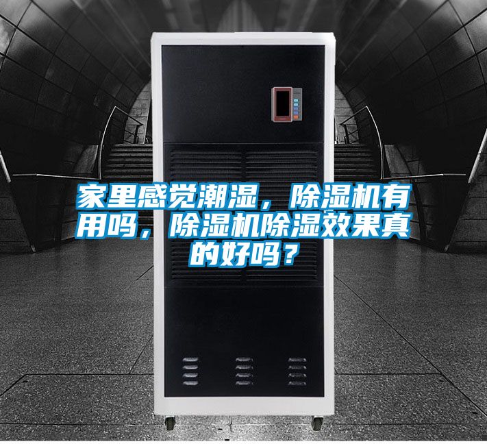家里感覺潮濕，除濕機有用嗎，除濕機除濕效果真的好嗎？