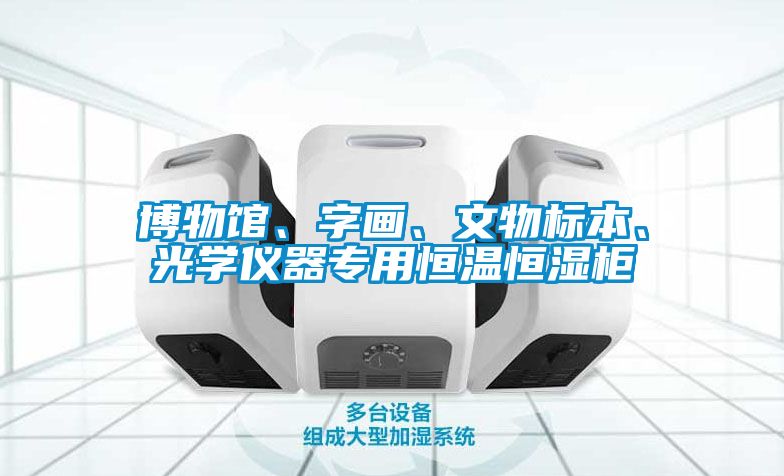 博物館、字畫、文物標本、光學儀器專用恒溫恒濕柜