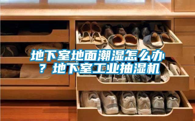地下室地面潮濕怎么辦？地下室工業(yè)抽濕機
