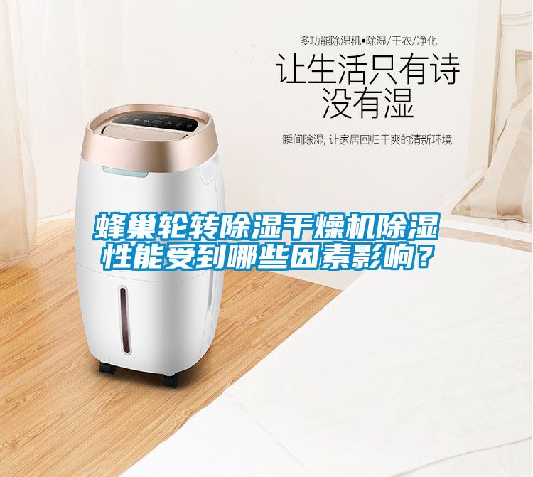 蜂巢輪轉(zhuǎn)除濕干燥機(jī)除濕性能受到哪些因素影響？
