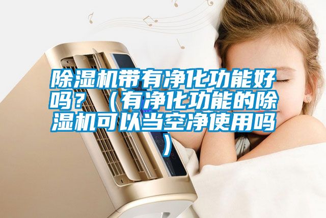 除濕機帶有凈化功能好嗎？（有凈化功能的除濕機可以當空凈使用嗎）