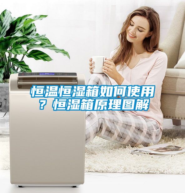 恒溫恒濕箱如何使用？恒濕箱原理圖解