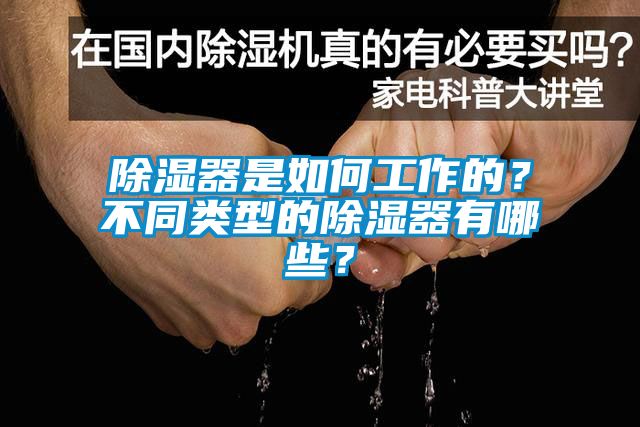 除濕器是如何工作的？不同類型的除濕器有哪些？
