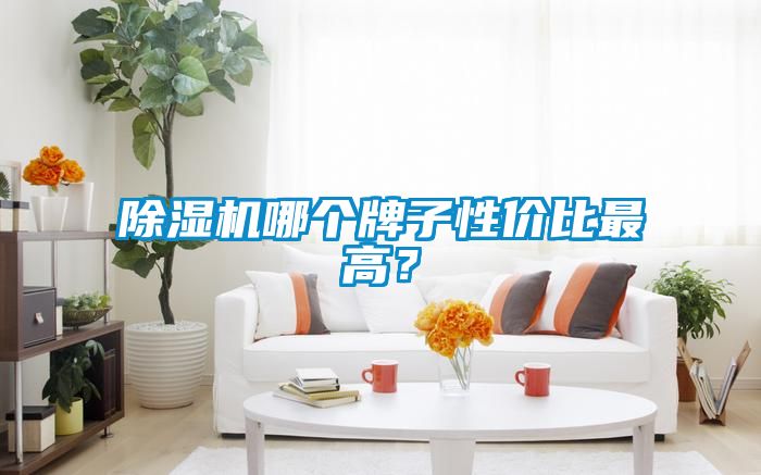 除濕機(jī)哪個牌子性價比最高？
