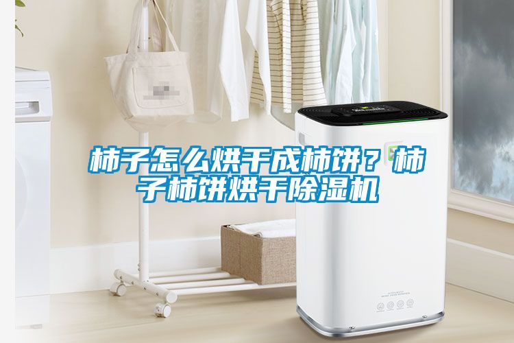 柿子怎么烘干成柿餅？柿子柿餅烘干除濕機(jī)