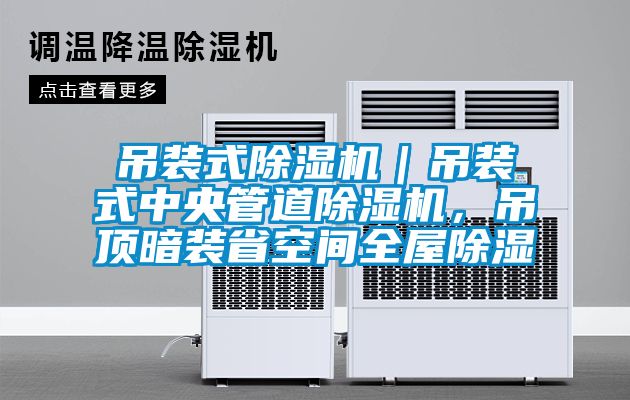 吊裝式除濕機｜吊裝式中央管道除濕機，吊頂暗裝省空間全屋除濕