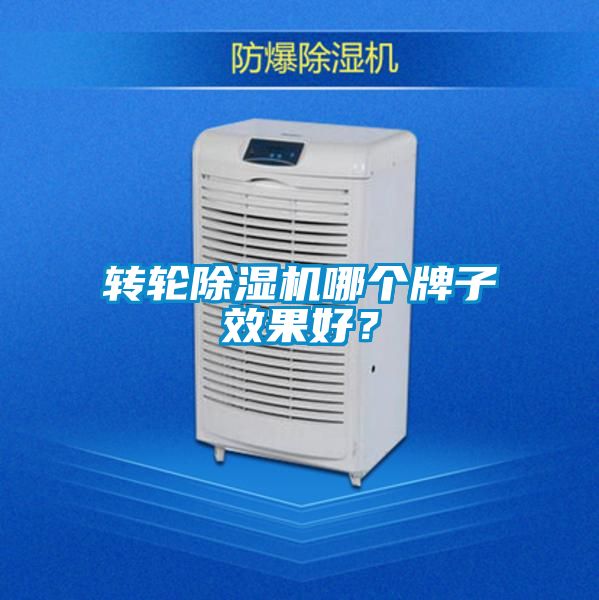 轉(zhuǎn)輪除濕機哪個牌子效果好？