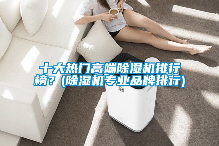 十大熱門高端除濕機排行榜？(除濕機專業(yè)品牌排行)