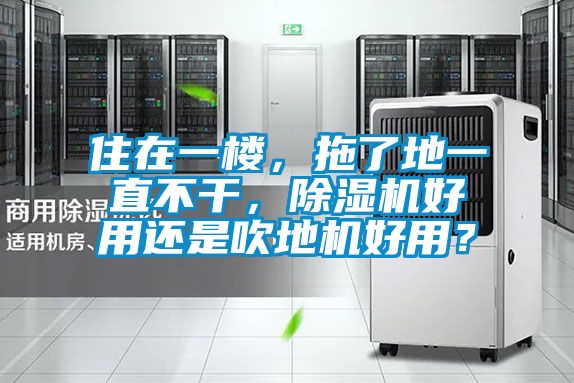 住在一樓，拖了地一直不干，除濕機好用還是吹地機好用？