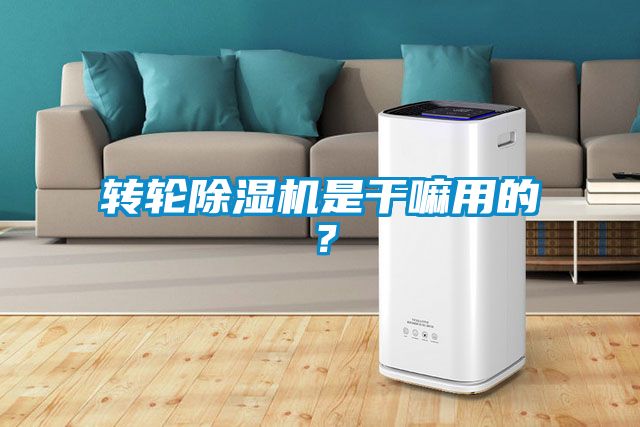 轉(zhuǎn)輪除濕機是干嘛用的？