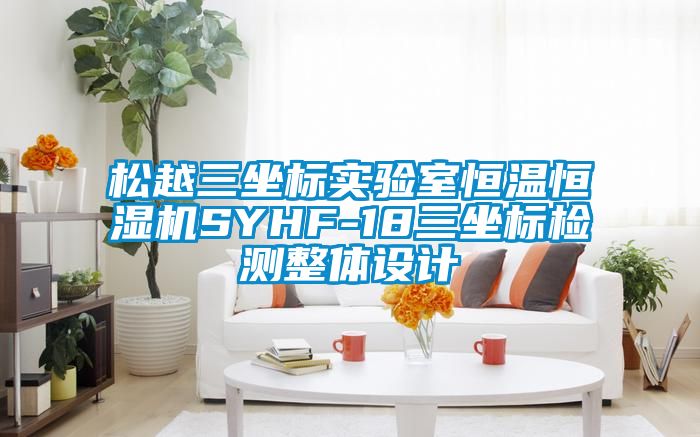 松越三坐標(biāo)實(shí)驗(yàn)室恒溫恒濕機(jī)SYHF-18三坐標(biāo)檢測整體設(shè)計