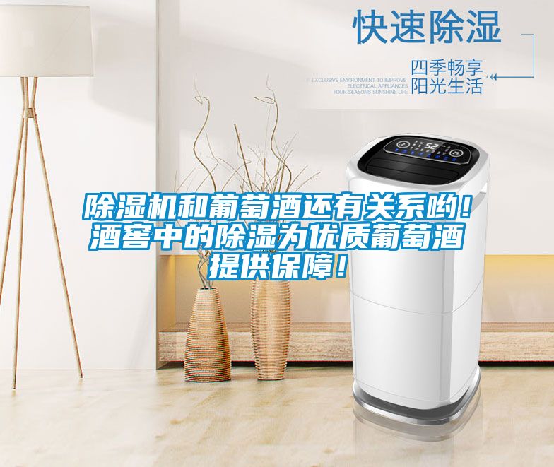 除濕機(jī)和葡萄酒還有關(guān)系喲！酒窖中的除濕為優(yōu)質(zhì)葡萄酒提供保障！