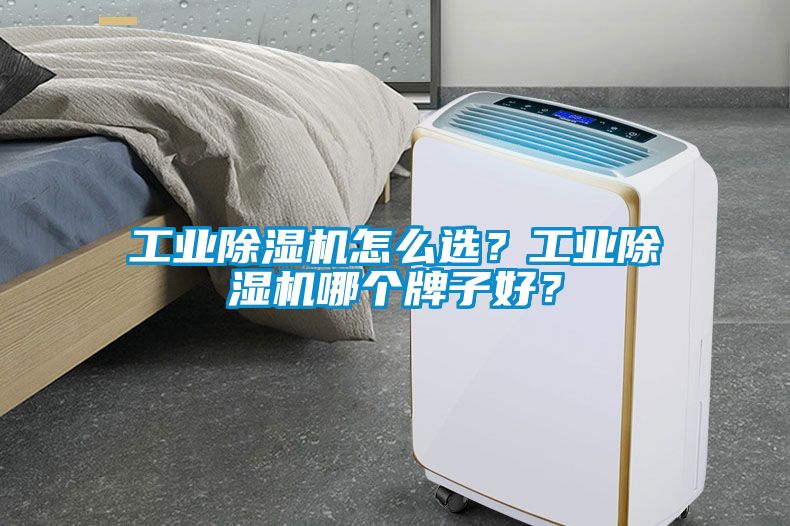 工業(yè)除濕機怎么選？工業(yè)除濕機哪個牌子好？