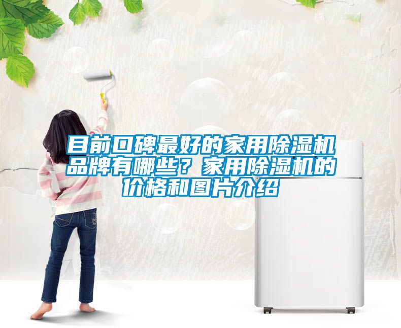 目前口碑最好的家用除濕機品牌有哪些？家用除濕機的價格和圖片介紹