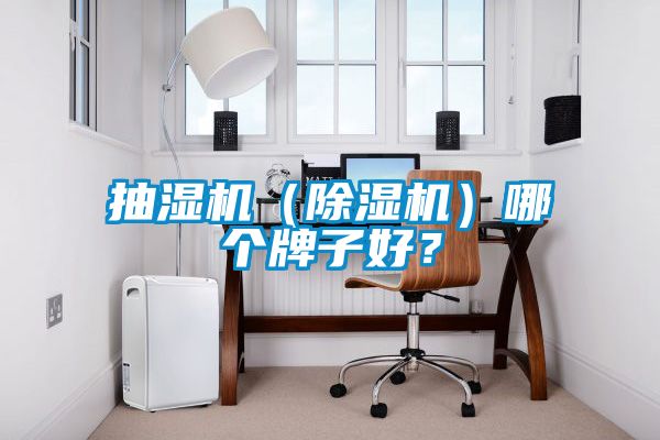 抽濕機（除濕機）哪個牌子好？