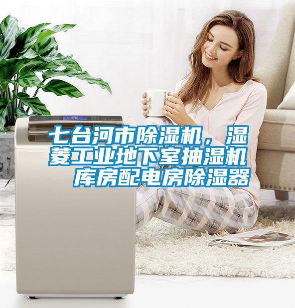七臺河市除濕機，濕菱工業(yè)地下室抽濕機  庫房配電房除濕器