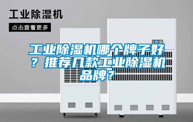 工業(yè)除濕機(jī)哪個牌子好？推薦幾款工業(yè)除濕機(jī)品牌？