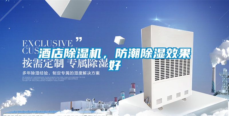 酒店除濕機，防潮除濕效果好