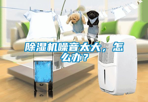除濕機噪音太大，怎么辦？