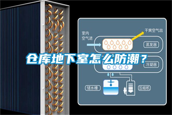 倉庫地下室怎么防潮？