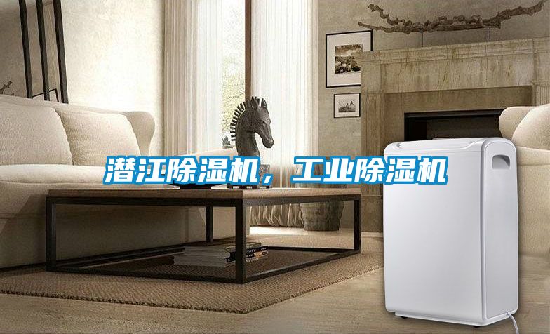 潛江除濕機，工業(yè)除濕機