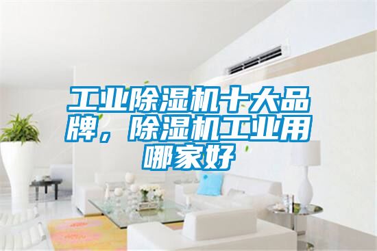 工業(yè)除濕機(jī)十大品牌，除濕機(jī)工業(yè)用哪家好