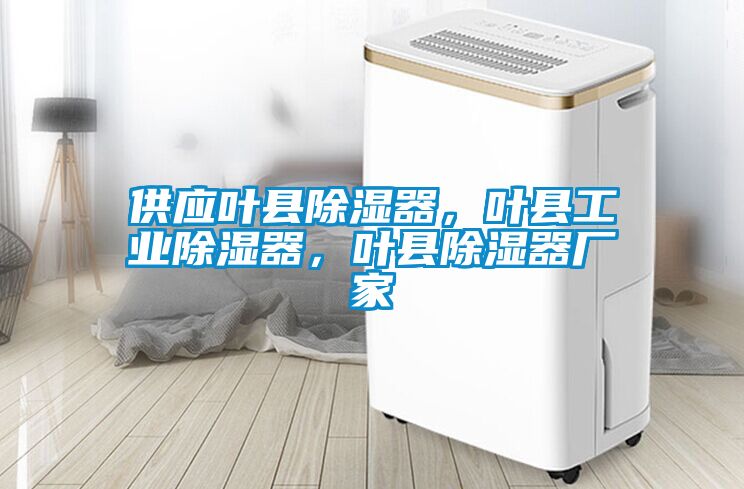 供應(yīng)葉縣除濕器，葉縣工業(yè)除濕器，葉縣除濕器廠家