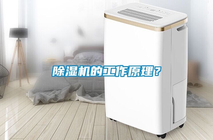 除濕機的工作原理？
