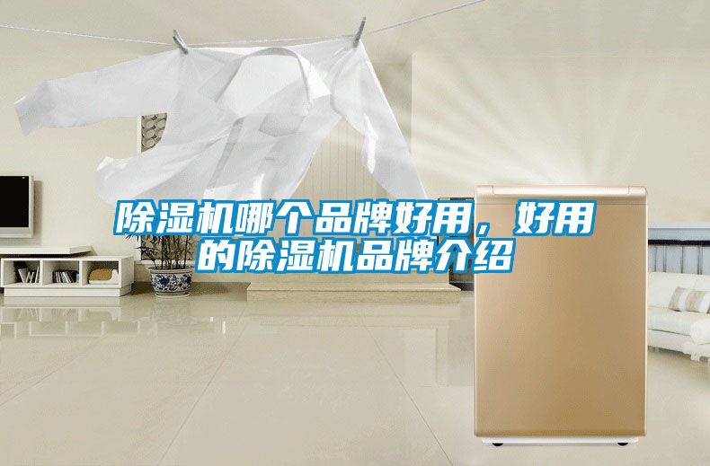 除濕機(jī)哪個(gè)品牌好用，好用的除濕機(jī)品牌介紹
