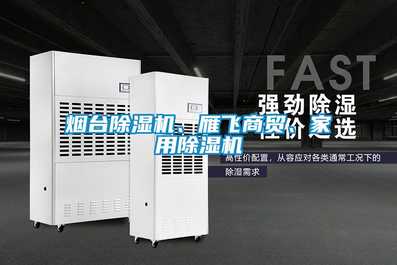煙臺(tái)除濕機(jī)、雁飛商貿(mào)、家用除濕機(jī)
