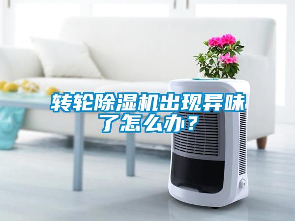 轉輪除濕機出現異味了怎么辦？