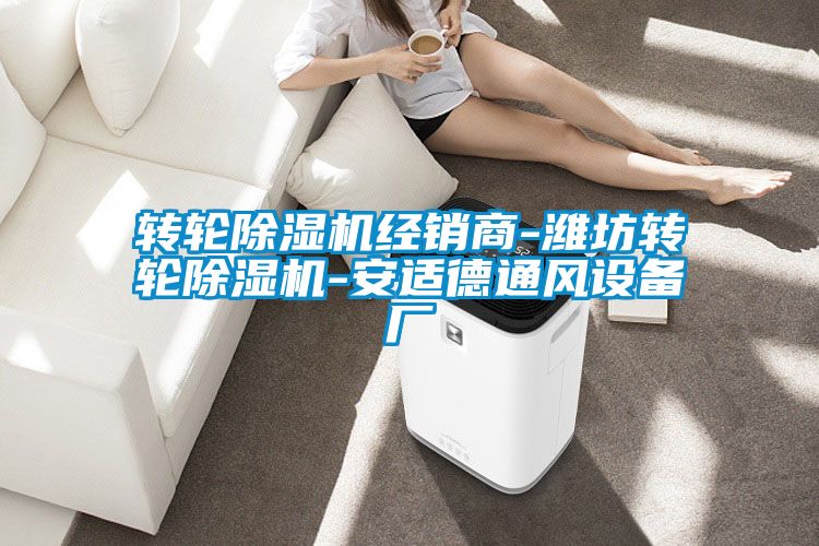 轉(zhuǎn)輪除濕機(jī)經(jīng)銷(xiāo)商-濰坊轉(zhuǎn)輪除濕機(jī)-安適德通風(fēng)設(shè)備廠(chǎng)
