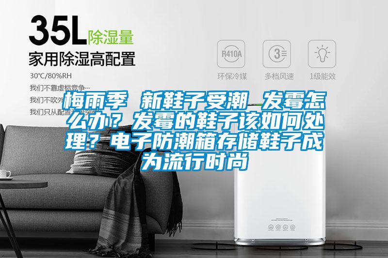 梅雨季 新鞋子受潮 發(fā)霉怎么辦？發(fā)霉的鞋子該如何處理？電子防潮箱存儲鞋子成為流行時尚