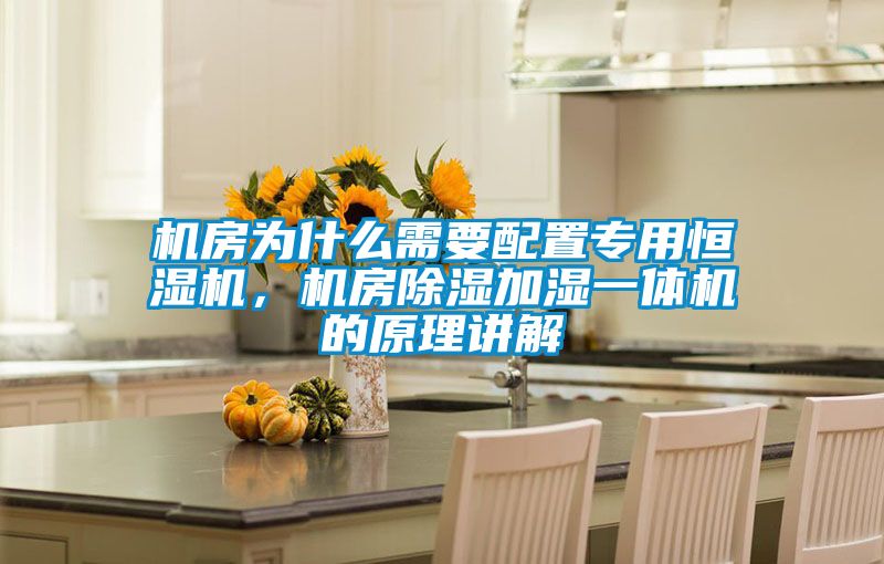 機(jī)房為什么需要配置專用恒濕機(jī)，機(jī)房除濕加濕一體機(jī)的原理講解
