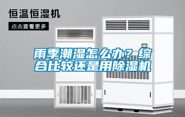 雨季潮濕怎么辦？綜合比較還是用除濕機