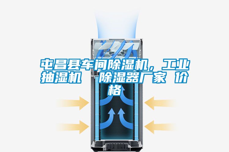 屯昌縣車間除濕機(jī)，工業(yè)抽濕機(jī)  除濕器廠家 價格