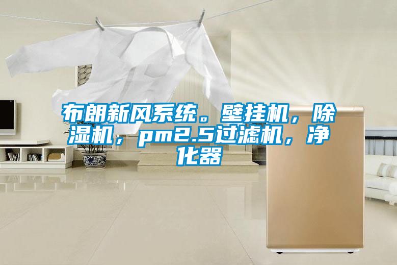 布朗新風系統(tǒng)。壁掛機，除濕機，pm2.5過濾機，凈化器