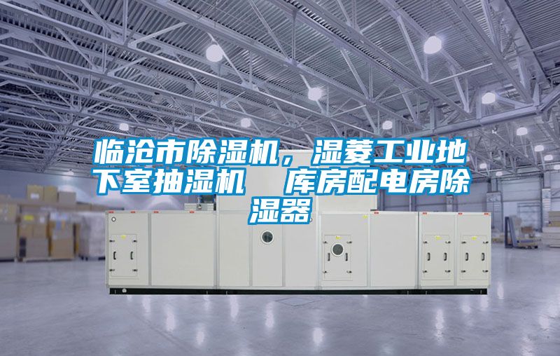 臨滄市除濕機，濕菱工業(yè)地下室抽濕機  庫房配電房除濕器