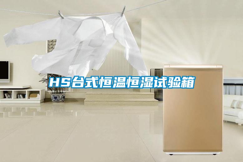 HS臺式恒溫恒濕試驗(yàn)箱