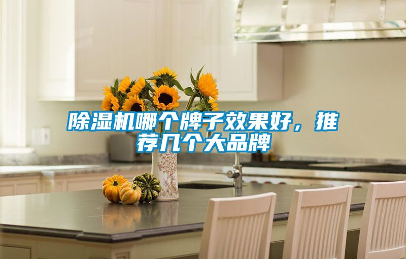 除濕機(jī)哪個(gè)牌子效果好，推薦幾個(gè)大品牌