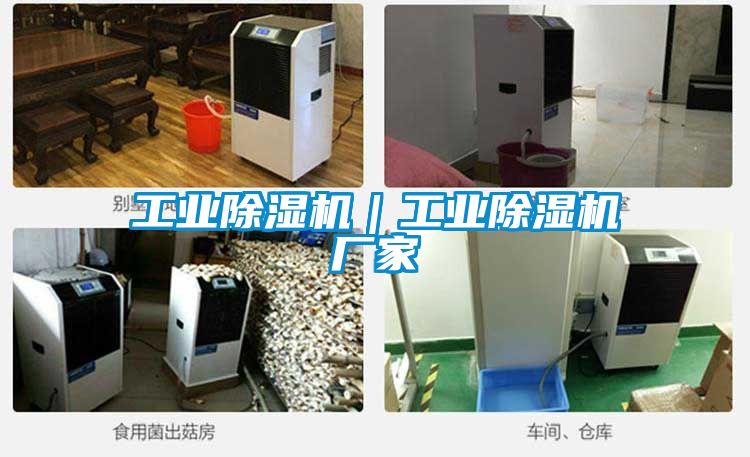 工業(yè)除濕機(jī)｜工業(yè)除濕機(jī)廠(chǎng)家