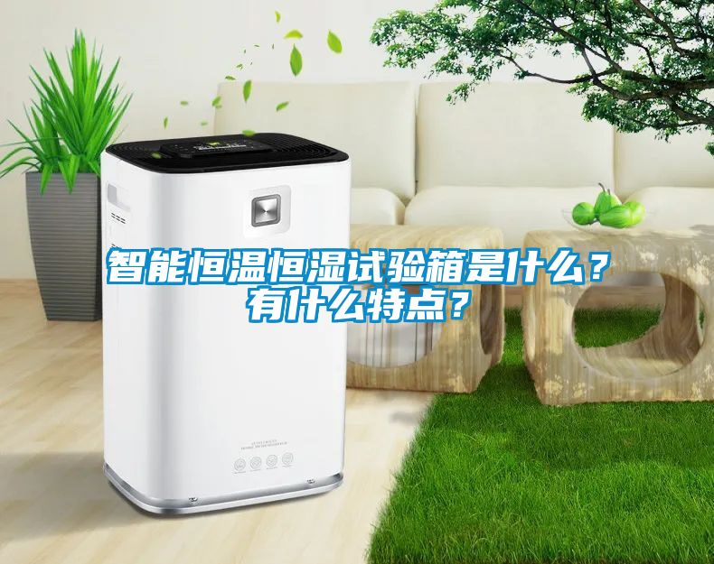 智能恒溫恒濕試驗(yàn)箱是什么？有什么特點(diǎn)？