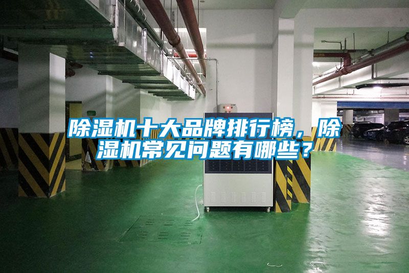 除濕機(jī)十大品牌排行榜，除濕機(jī)常見問題有哪些？