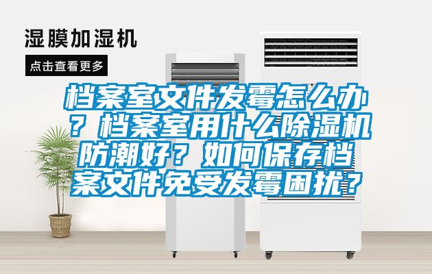 檔案室文件發(fā)霉怎么辦？檔案室用什么除濕機防潮好？如何保存檔案文件免受發(fā)霉困擾？