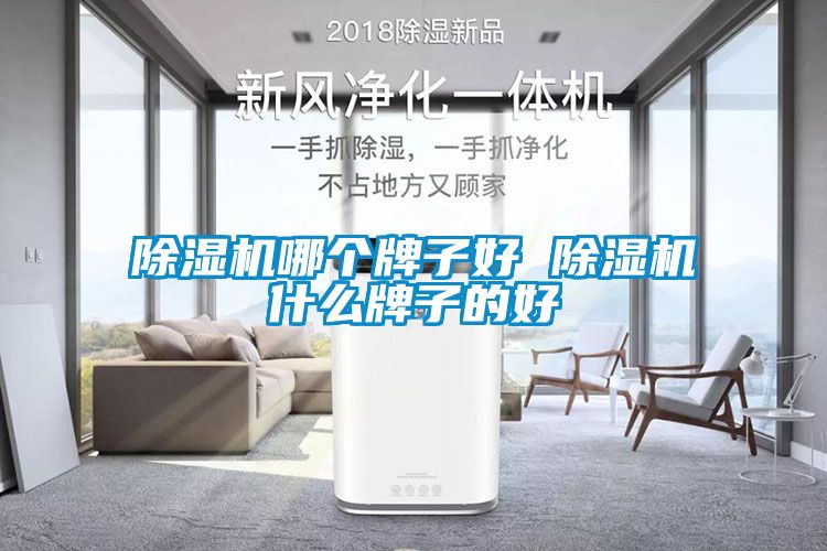 除濕機(jī)哪個牌子好 除濕機(jī)什么牌子的好
