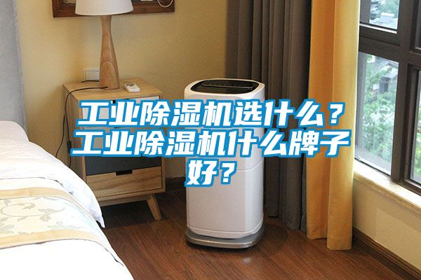 工業(yè)除濕機(jī)選什么？工業(yè)除濕機(jī)什么牌子好？