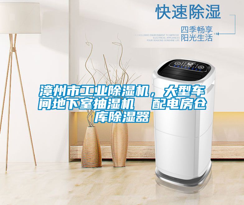漳州市工業(yè)除濕機，大型車間地下室抽濕機  配電房倉庫除濕器